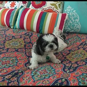 Meet your Posher, Terri